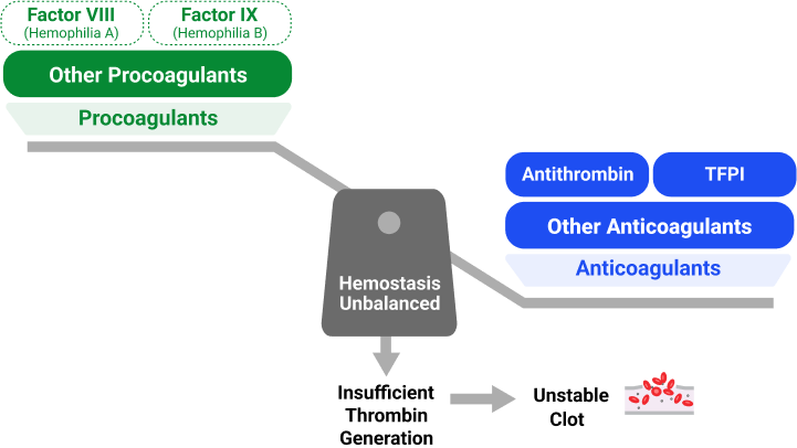 Hemophilia disrupting the balance between procoagulants and anticoagulants