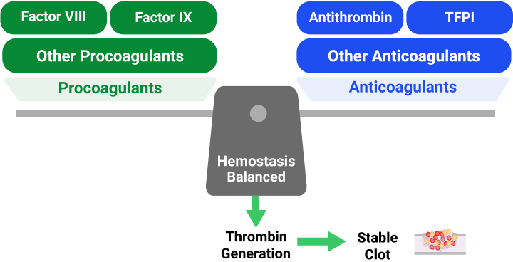 Hemophilia disrupting the balance between procoagulants and anticoagulants