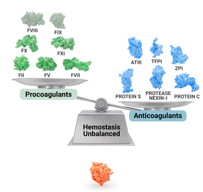 Hemophilia disrupting the balance between procoagulants and anticoagulants